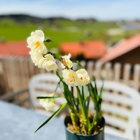 Appartement Buron 7 *